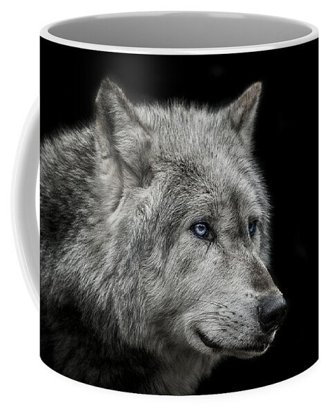 #faatoppicks Coffee Mug featuring the photograph Old blue eyes by Paul Neville