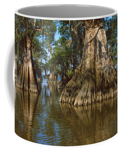 Photography Coffee Mug featuring the photograph Old-growth Cypresses At Lake Fausse by Panoramic Images