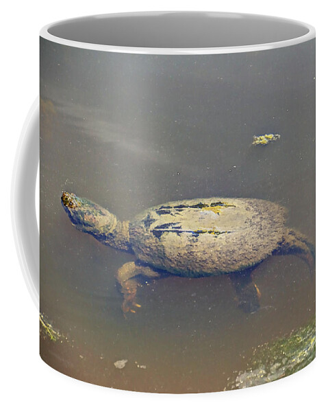 Turtle Coffee Mug featuring the photograph Old Mossy Back Snapping Turtle by Carol Senske