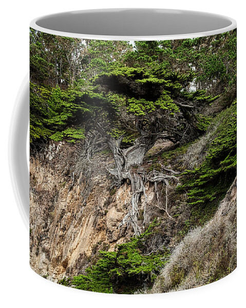 Old Veteren Tree Coffee Mug featuring the photograph Old Veteren Cypress Tree II by George Buxbaum