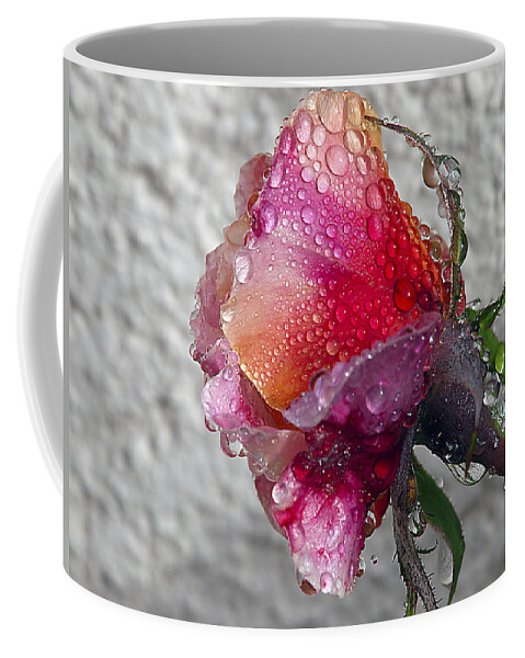 Roses Coffee Mug featuring the photograph Olde English by Joe Schofield