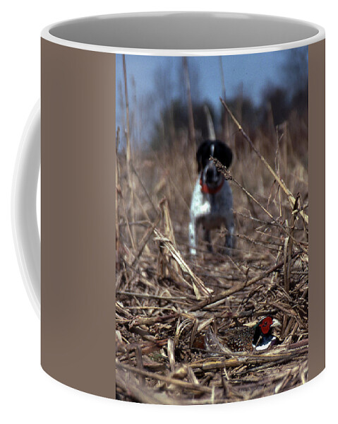 Dog Coffee Mug featuring the photograph On Point by Skip Willits