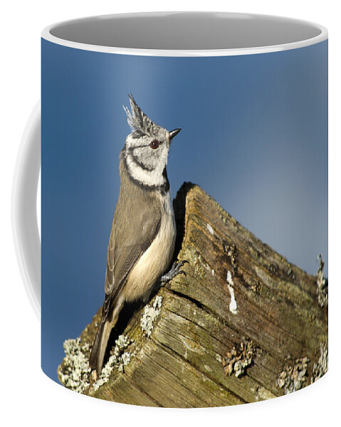 On The Edge Coffee Mug featuring the photograph On the edge by Torbjorn Swenelius