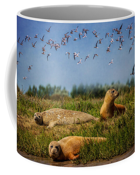 Seal Coffee Mug featuring the photograph On The Estuary by Chris Lord