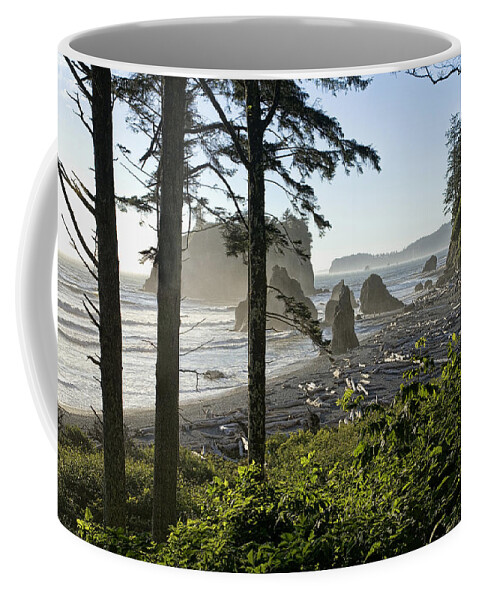 Art Coffee Mug featuring the photograph On the Trail to Ruby Beach by Randall Nyhof