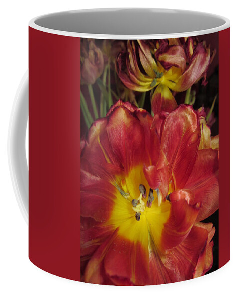 Flowers Coffee Mug featuring the photograph On their way out by Rosita Larsson