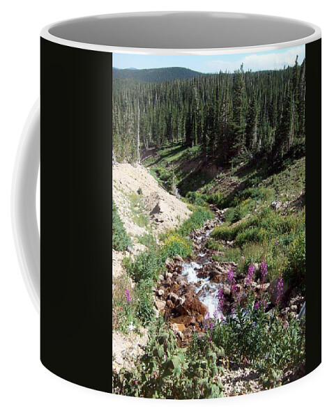 Landscape Coffee Mug featuring the photograph On Top of The Continental Divide in the Rocky Mountains by Daniel Larsen