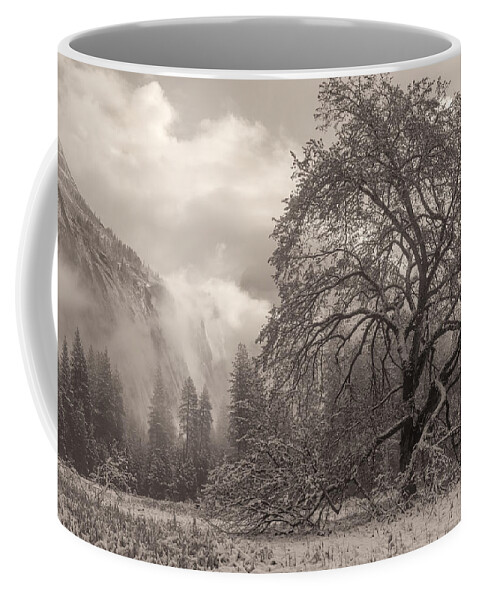 Landscape Coffee Mug featuring the photograph One Beauty Sepia by Jonathan Nguyen
