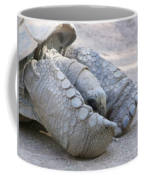 Tortoise Coffee Mug featuring the photograph One Very Old Very Large Sulcata Tortoise by Mary Deal