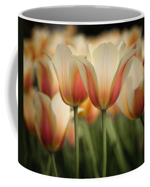 Tulip Coffee Mug featuring the photograph Only Tulips by James Barber