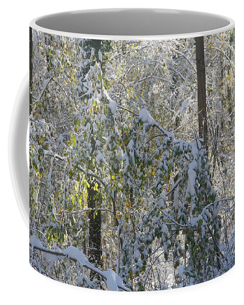Landscape Coffee Mug featuring the photograph Onset Of Winter 2 by Rudi Prott