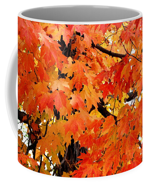 Maple Tree Coffee Mug featuring the photograph Orange And Reds And Some Yellow Too by Eunice Miller