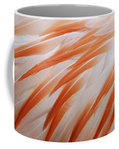 Feather Coffee Mug featuring the photograph Orange and white feathers of a flamingo by Matthias Hauser