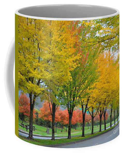 Fall Coffee Mug featuring the photograph Row Of Trees by Kirt Tisdale