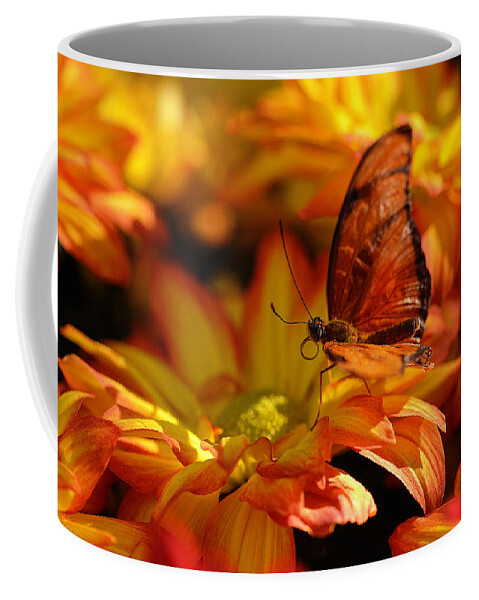 Mums Coffee Mug featuring the photograph Orange Butterfly On Yellow Flowers by Maria Angelica Maira