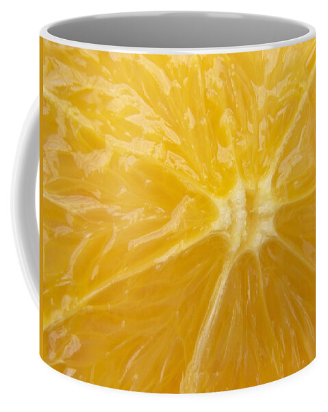 Orange Coffee Mug featuring the photograph Orange Closeup by Matthias Hauser