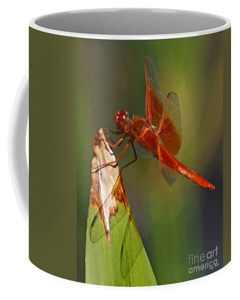 Orange Dragonfly Coffee Mug featuring the photograph Orange Dragonfly - Six Wings by Kenny Bosak