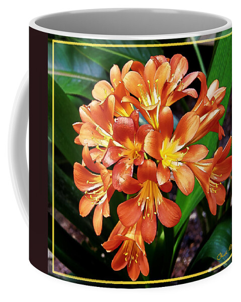 Orange Flowers Coffee Mug featuring the photograph Orange Flowers by Chuck Staley