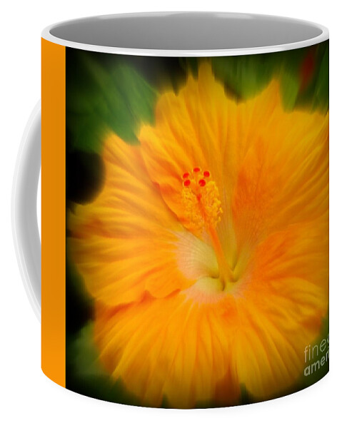Hibiscus Coffee Mug featuring the photograph Orange Hibiscus Flower by Clare Bevan