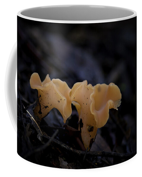 Mushroom Coffee Mug featuring the photograph Orange Peel by Betty Depee
