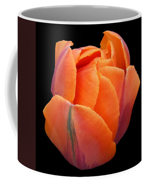 Tulip Coffee Mug featuring the photograph Orange Tulip Still Life Flower Art Poster by Lily Malor