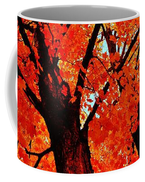  Coffee Mug featuring the photograph Orange...The New Green by Daniel Thompson