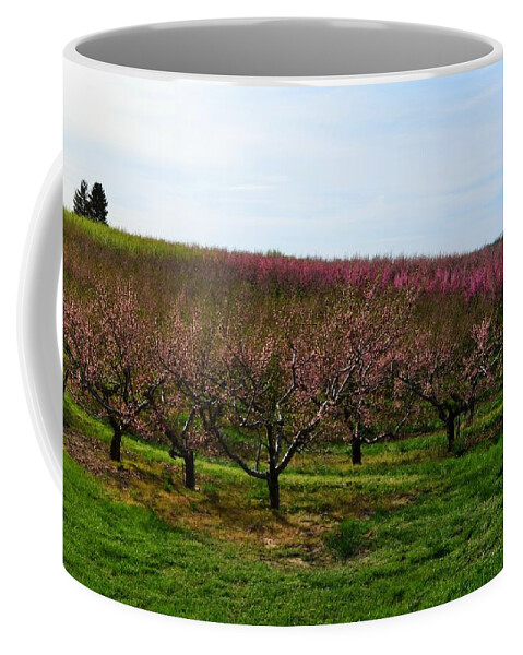 Cherries Coffee Mug featuring the photograph Orchard in Spring ll by Michelle Calkins