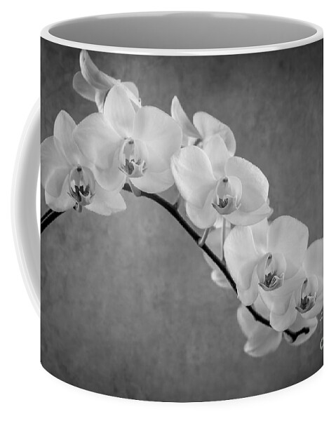 Asia Coffee Mug featuring the photograph Orchid Bw by Hannes Cmarits