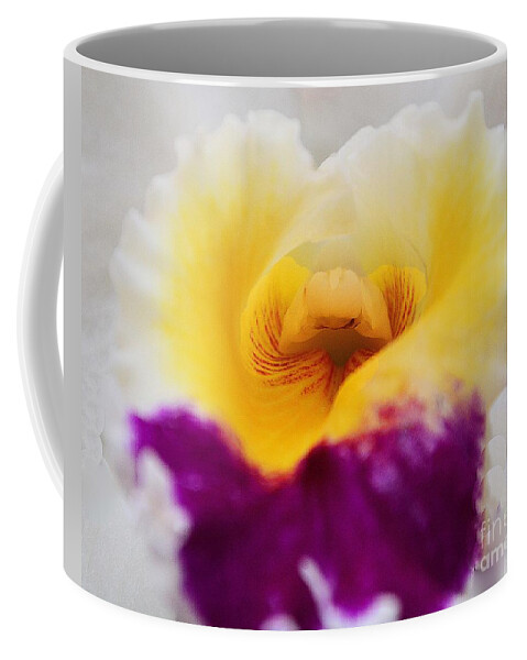Orchids Coffee Mug featuring the photograph Orchid Central by Cindy Manero