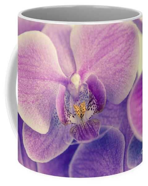 Asia Coffee Mug featuring the photograph Orchid Lilac Dark by Hannes Cmarits
