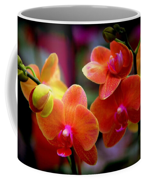 Orchids Coffee Mug featuring the photograph Orchid Melody by Karen Wiles
