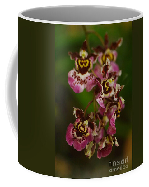 Plant Coffee Mug featuring the photograph Orchids 180 by Rudi Prott