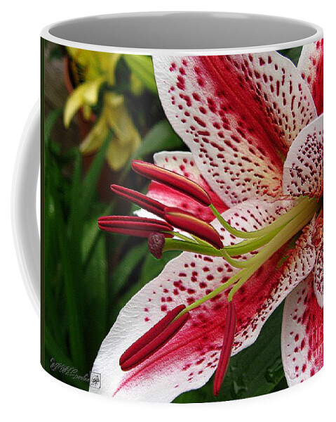 Oriental Lily Coffee Mug featuring the photograph Oriental Hybrid Lily named Dizzy by J McCombie
