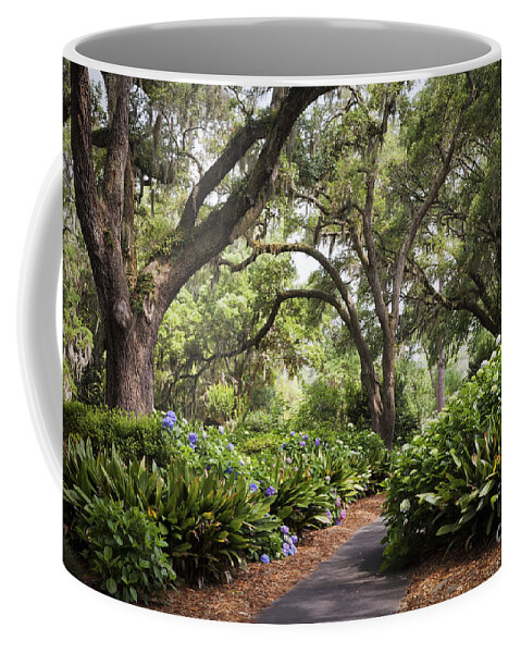 Beautiful Coffee Mug featuring the photograph Orton Plantation Scenic Walkway Brusnwick County NC by Jo Ann Tomaselli