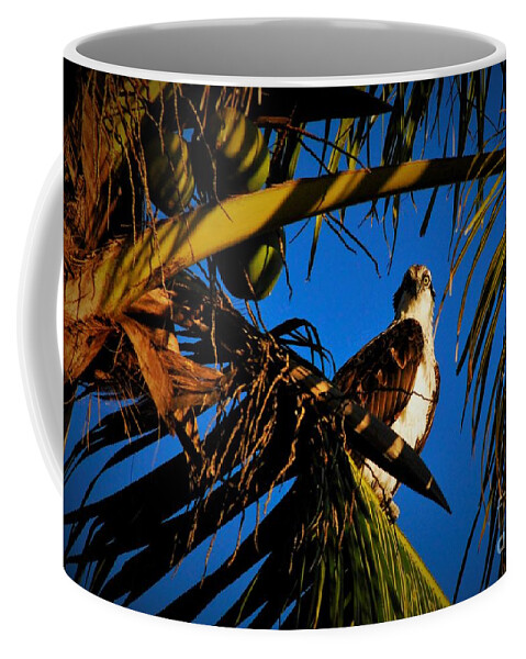Osprey Coffee Mug featuring the photograph Osprey paradise by Quinn Sedam