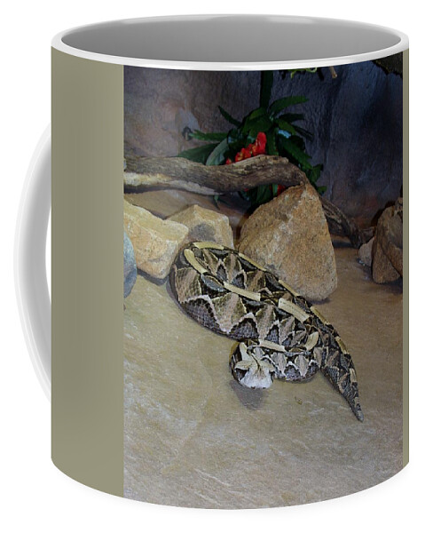 Out Of Africa Coffee Mug featuring the photograph Out of Africa Viper 2 by Phyllis Spoor