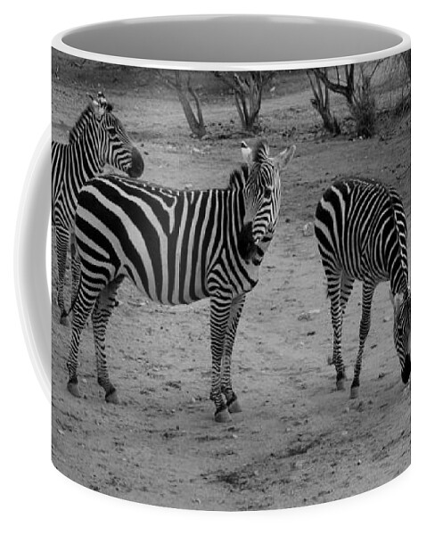 Out Of Africa Coffee Mug featuring the photograph Out of Africa Zebras by Phyllis Spoor