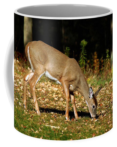 Deer Coffee Mug featuring the photograph Whitetail Out Of The Woods by Christina Rollo