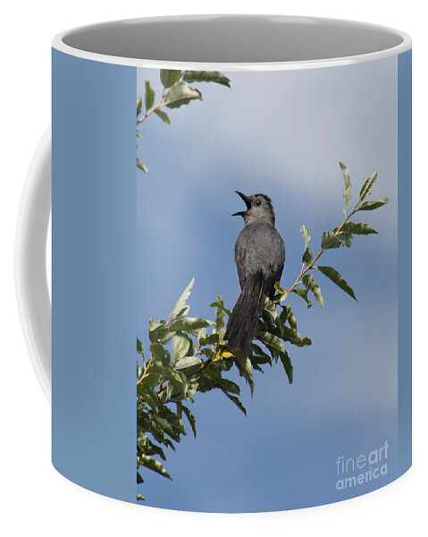 Christian Coffee Mug featuring the photograph Out on a Limb by Anita Oakley
