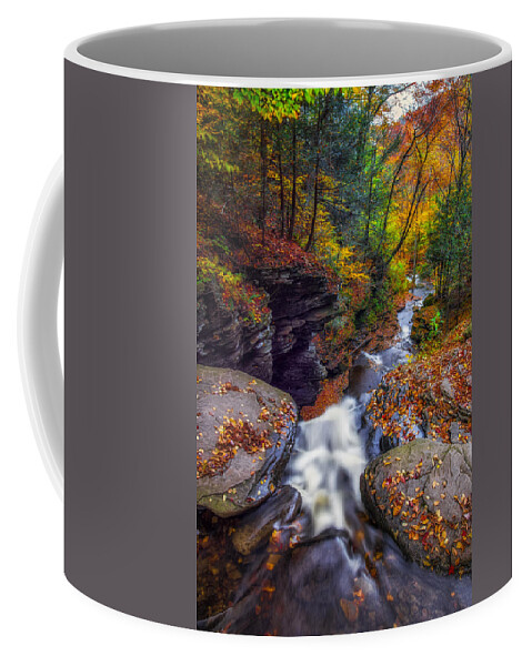 Ricketts Glen Kitchen Creek Coffee Mug featuring the photograph Over the falls by Mark Papke