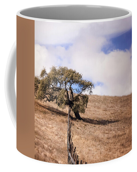 Oak Coffee Mug featuring the photograph Over the Line by Caitlyn Grasso