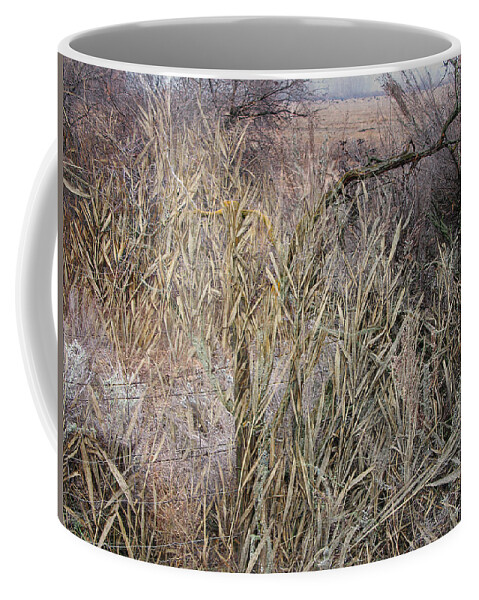 Landscape Coffee Mug featuring the photograph Overgrown Fence Line by Ed Hall