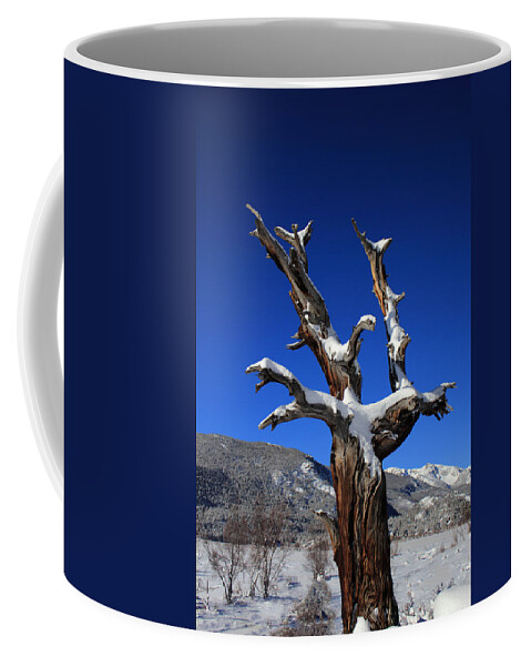 Valley Coffee Mug featuring the photograph Overlooking The Valley by Shane Bechler