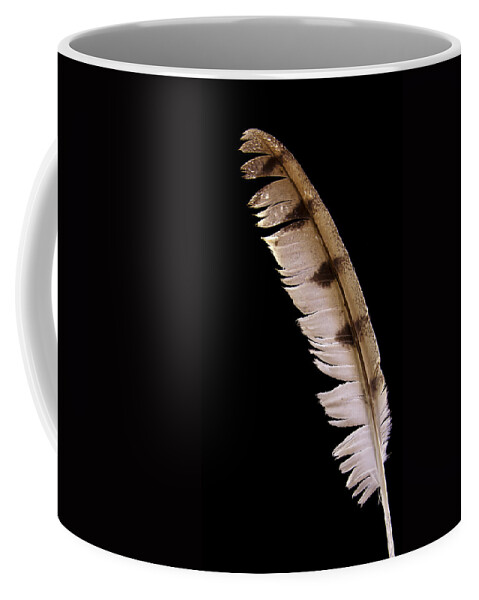 Jean Noren Coffee Mug featuring the photograph Owl Feather by Jean Noren