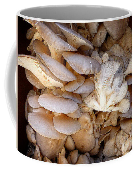 Mushroom Coffee Mug featuring the digital art Oyster Mushrooms by Dee Flouton