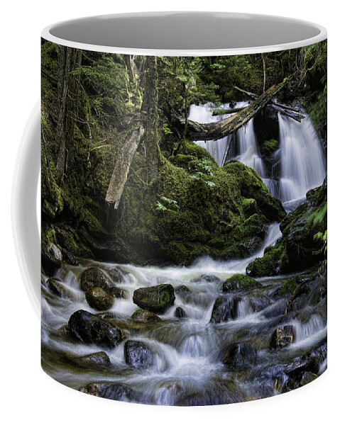 nordman Idaho Coffee Mug featuring the photograph Packer Falls and Creek by Paul DeRocker