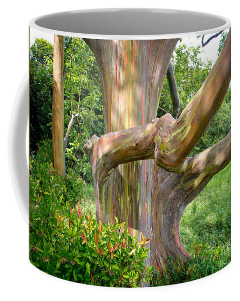Forest Coffee Mug featuring the photograph Painted Forest by Will Wagner
