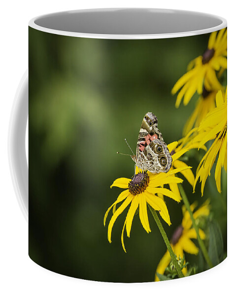 Painted Lady Butterfly Coffee Mug featuring the photograph Painted Lady by Thomas Young