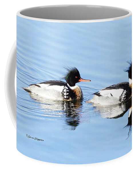 Merganser Coffee Mug featuring the photograph Pair of Redbreasted Merganser's 6 by Steven Clipperton