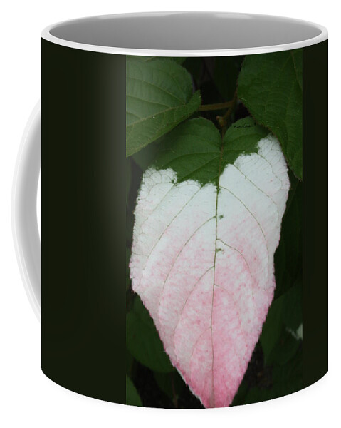 Leaves Coffee Mug featuring the photograph Pale Blush by Heather Gallup